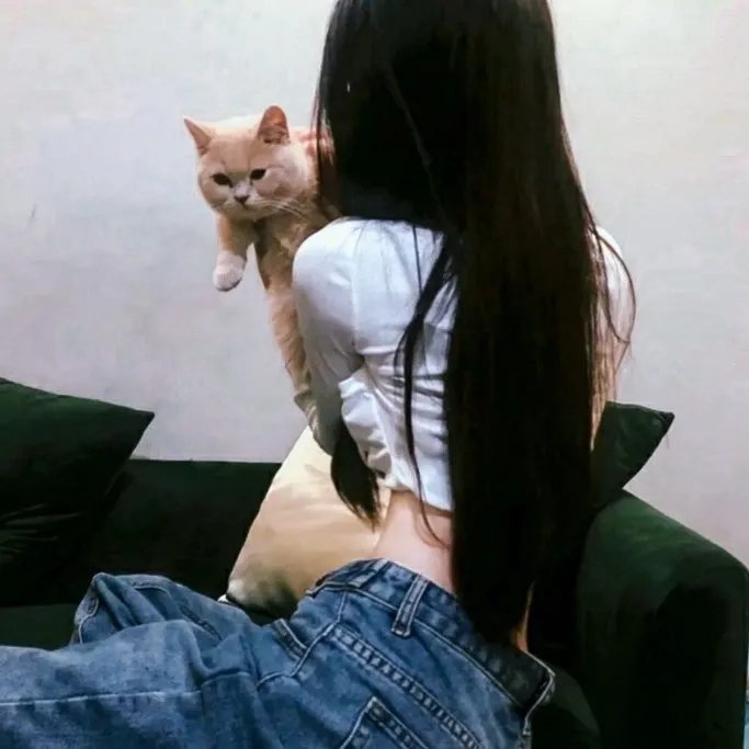 阳光下的葡萄干